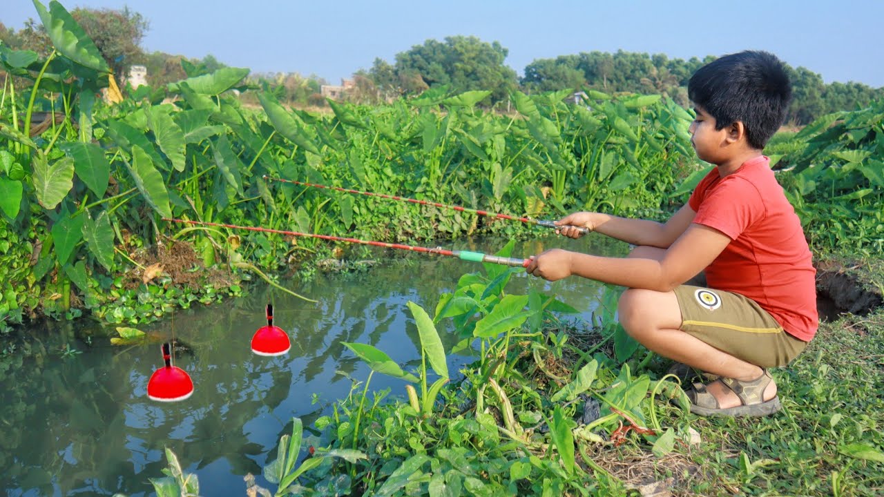 Fishing Video | Everyone will be Amazed to see the Village Boy Fishing with Two Hooks | Hook Fishing