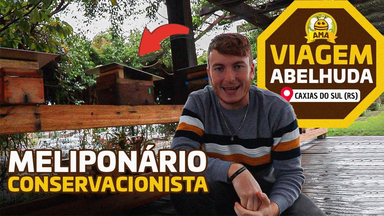 VIAGEM ABELHUDA: Mais de 44 guaraipos-negra (Consultoria Caxias do Sul)