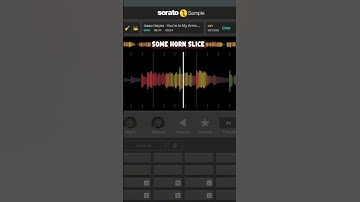 The REAL SECRETS To Making Samples For GRISELDA #westsidegunn