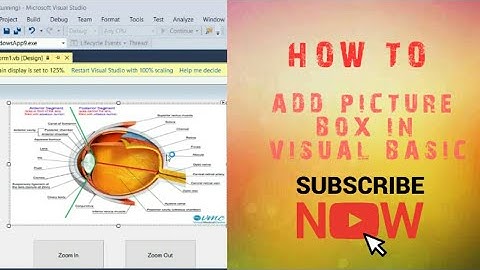Picture box (visual basic)
