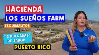 🛑 Los Esquimalitos de Lajas, en la "Hacienda Los Sueños Farm".