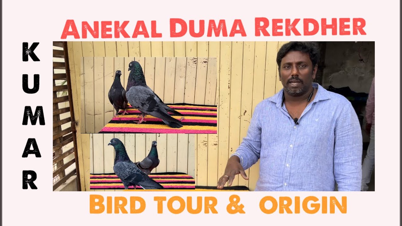 Maruthi loft Kumar sir ,Anekal Duma Rekdher bird tour