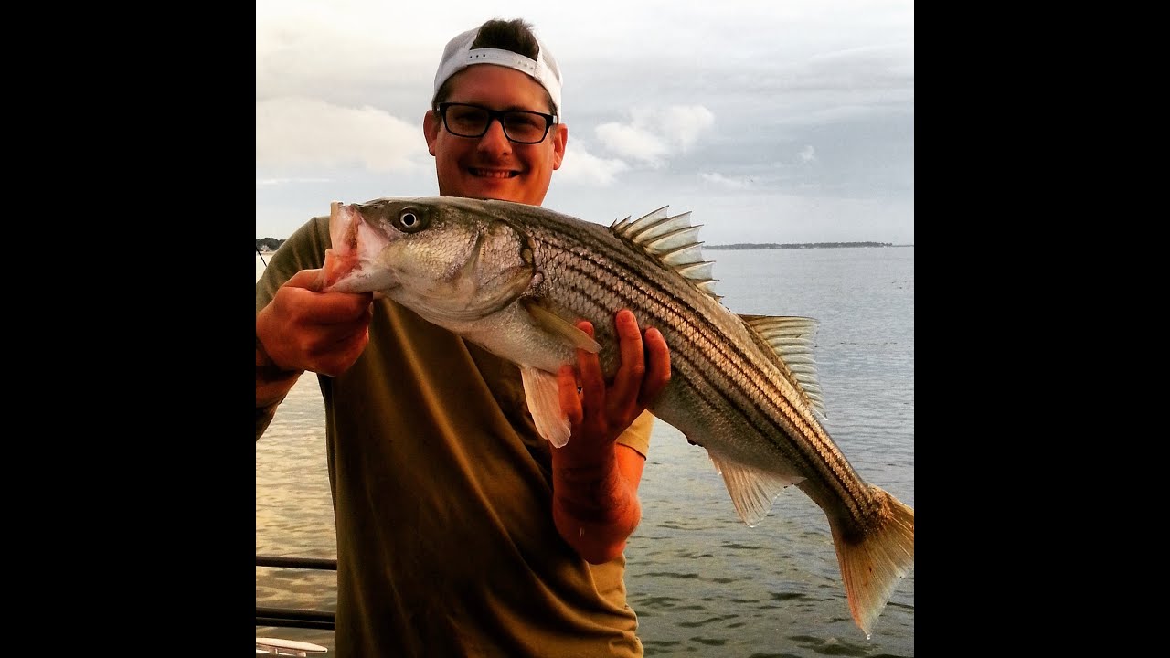 dean-ween-fishing-show-striped-bass-nude-slut