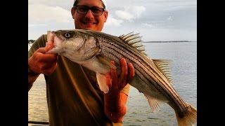 Striped Bass Fishing Cape Cod! New C2K episode