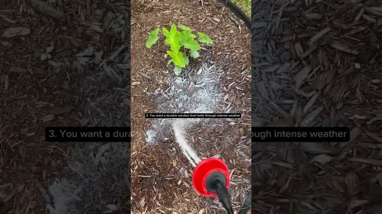 The Best Mulch Glue