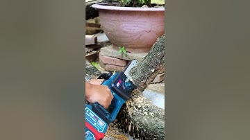 Máy Cưa Xích 12inch Boshun BS-CS12BL Không Chổi Than, Lưỡi Cưa Xích 35cm, Tặng Dây Xích Sơ Cua