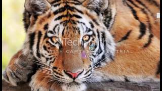 تحميل لعبة المزرعة screenshot 4