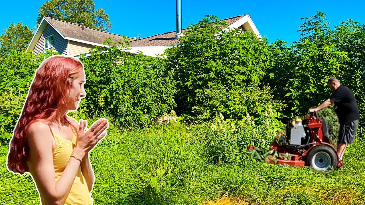 15FT TALL Overgrown YARD! NOBODY WOULD HELP THIS SINGLE MOM. I did for FREE then Cops came..