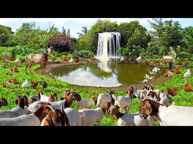 Genius Techniques for Raising Goats & Growing Organic Vegetable! Bath Time for our Anglo Nubian Buck class=