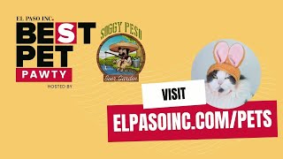 El Paso residents, organizations seek to end Meta data center contract at City Council meeting