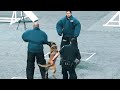 Police dog funny moments