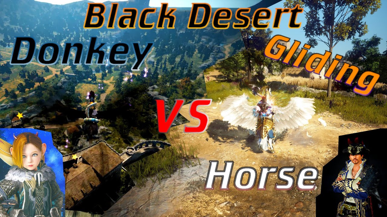 BDO Donkey vs Horse Gliding YouTube