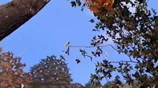 Once Upon A Time (2001 Version) Part 86