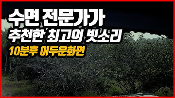 수면전문가가 추천해준 잠잘오는 최고의 빗소리ㅣ10분후 검은 화면ㅣ불면증 이석 이명증 해결ㅣ빗소리 백색소음 ASMR