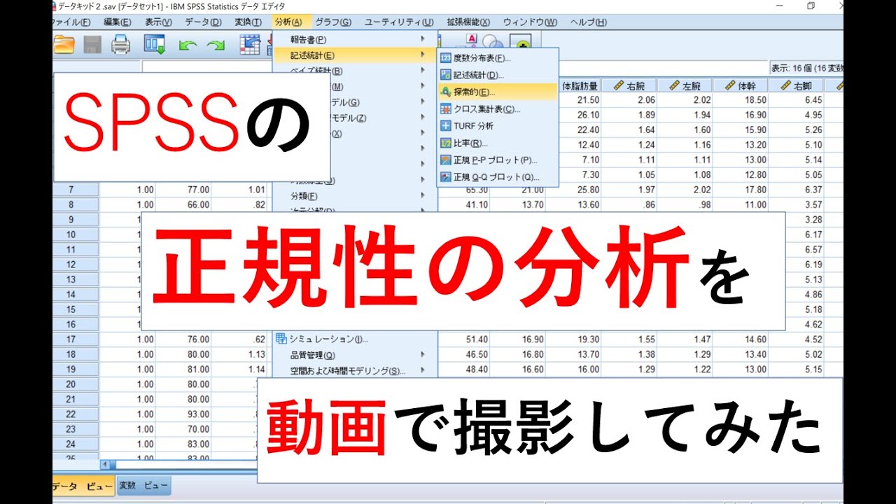 正規 性 の 検定 spss