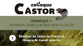 Colloque Castor 2021