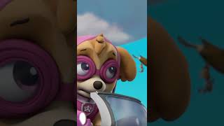 The Eagle Attack 🦅 #pawpatrol