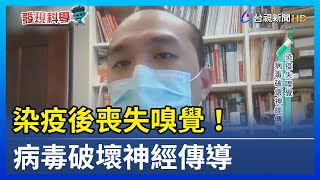 染疫後喪失嗅覺！病毒破壞神經傳導【發現科學】