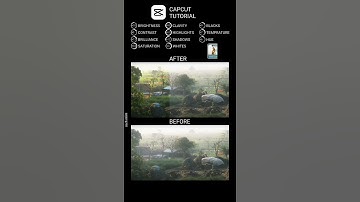 Capcut colour grading tutorial #shorts #capcut