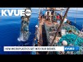 A look at how microplastics enter the body