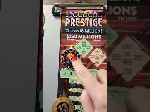 The Dog House - Muttley Crew | Seveso Casino Palace - Old Digger (Official video)