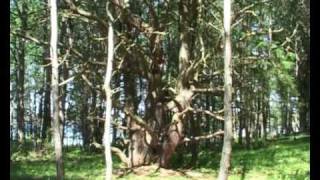 En presentation av pensionat Hildas Hus på Nordkoster