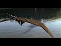 TRILOGY OF LIFE - Prehistoric Park - Generic Pterosaurs