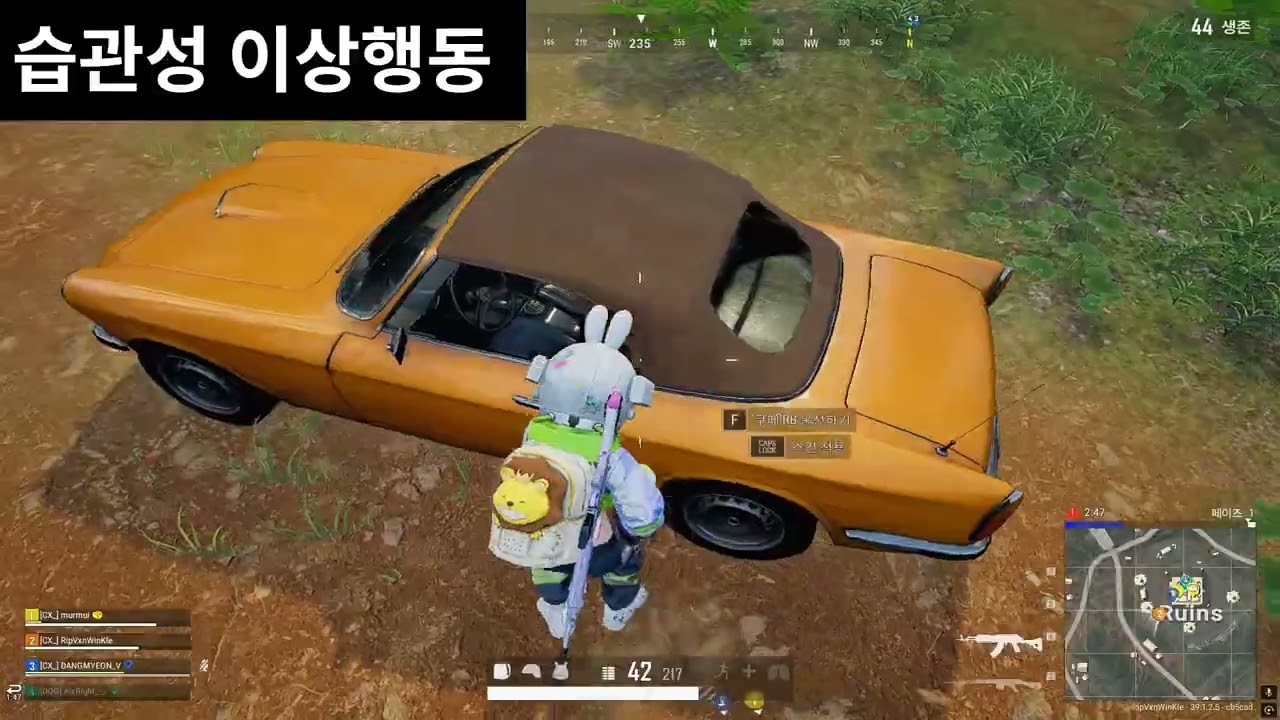 사녹 특집 l RipVanWinKle l PUBG l 배그매드무비 l montage