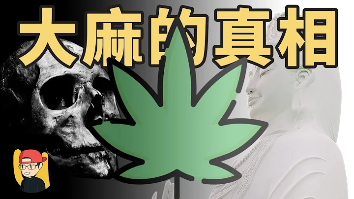 【大麻的真相】是毒品？还是神赐之物？大麻合法化又是如何？｜有祐  U_NoKnow - 天天要闻