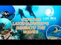 Into the Blue: Lakshadweep with Lak Sea Adventures #scubadiving #PADI #diveadventure #lakshadweep