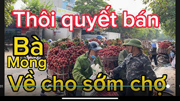 Vải Thiều Lục ngạn hôm nay tăng giá cập Nhật ngày 16/6/2023.tại kép Hồng Giang
