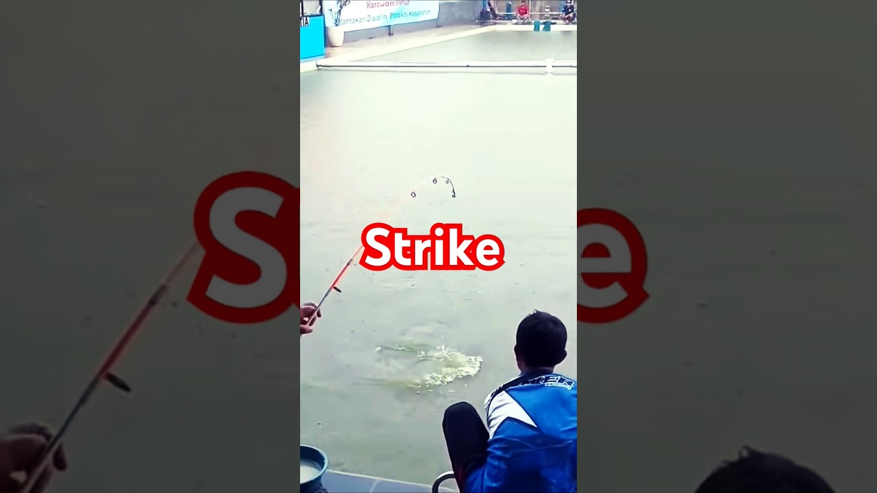 Mantap...!!!!  Ini Baru Mancing Asyik 