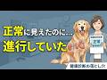 検査は正常が一番危険です【犬猫の健康診断の落とし穴】