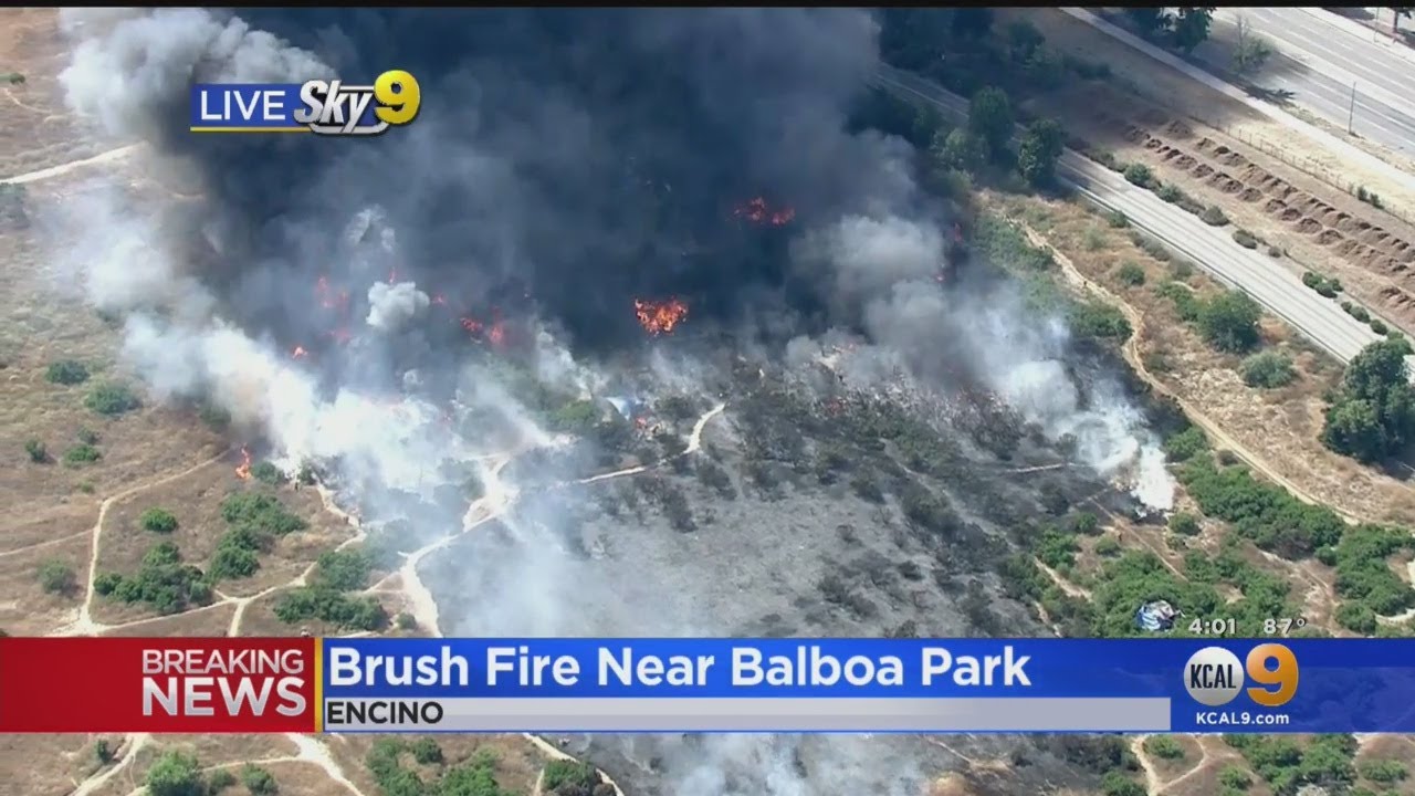 Crews Battle Brush Fire In Sepulveda Basin - YouTube