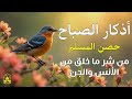 أذكار الصباح راحة نفسية لا توصف بصوت القارئ ايوب مصعب Morning Athkar Dzkir Pagi By Alaa Aql 
