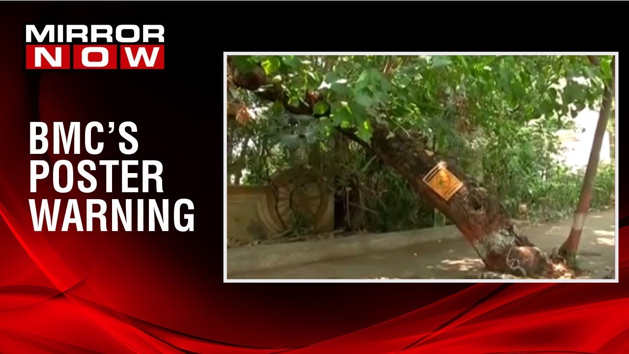 BMC's poster warning ahead of monsoon, puts posters of 'Trees may fall' across Mumbai maharashtra news abp