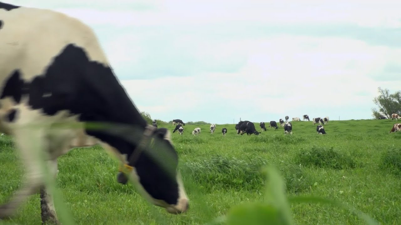 Biohof Tacke - Wenn alles ineinander greift 