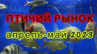 :  , . .     - .
