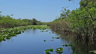 Everglades Safari Park Airboat Rides April 21st 2024