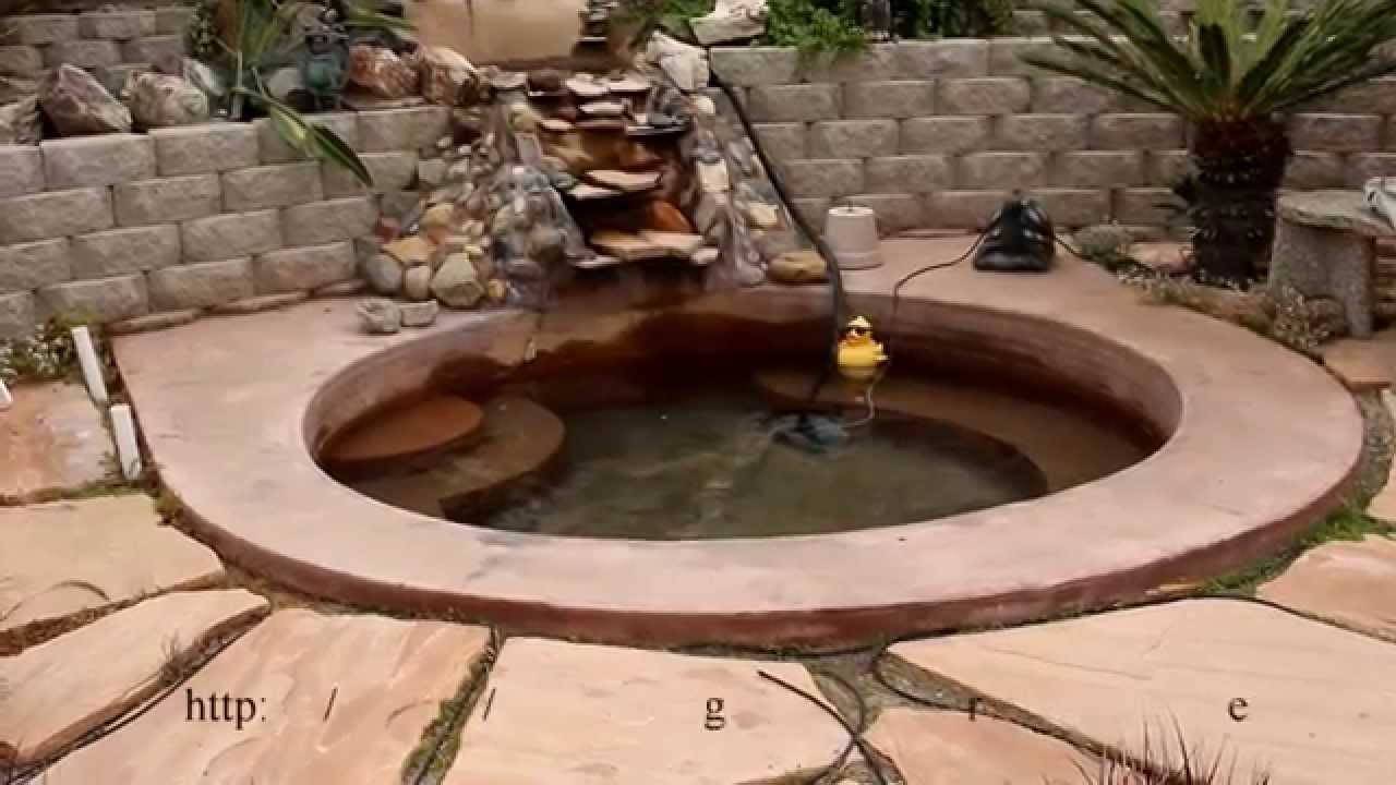 The Backyard Concrete Pond After Five Years YouTube