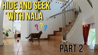 Hide and Seek with Nala Cat 😻  (Part 2)