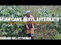 HURRICANE BERYL DEVASTATING BLOW ON THESE COFFEE FARMERS||CABBAGE HILL ST.THOMAS