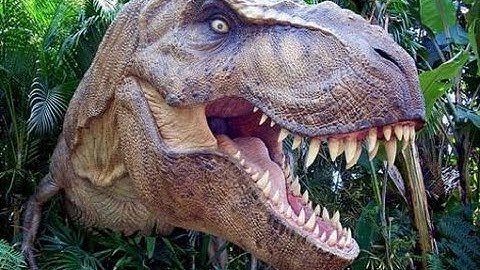 how to play hidden game in google chrome