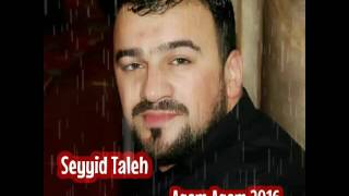 Seyyid Taleh Ağam Ağam يا المهدي Yeni 2017 Resimi