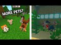 DOMESTIC PETS ADDON For Minecraft PE/Bedrock! (1.19+)
