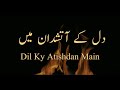 Nasri nzam dil ky atish dan main  by dur e najjafadbi loog bhalwal