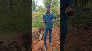 இன்று பண்ணையில் ஒரு பெரிய இழப்பு