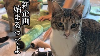An announcement regarding a new project from Konekoan - YouTube
