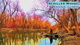 Schiller Woods