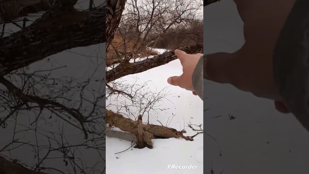 Рыбалка на гальяна